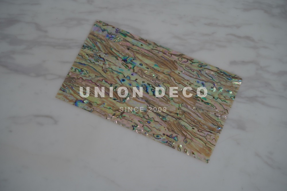 Shell Veneer-8