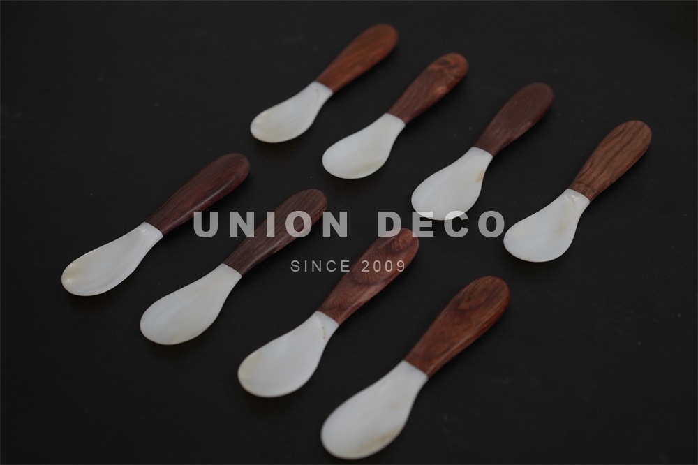 Mother of Pearl Spoon with Wooden handle