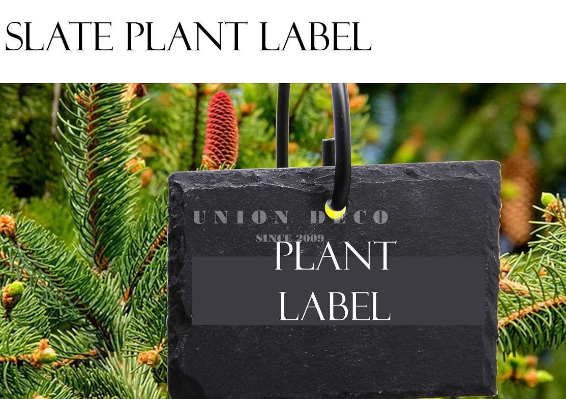 SLATE PLANT LABEL